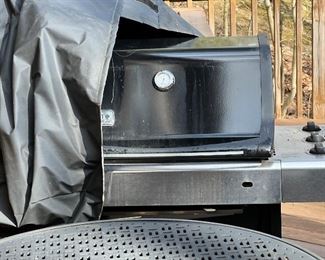 Outdoor Weber Grill
