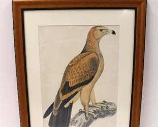 
Lot 750
Print of a Towney Eagle approx. 21" w x 26" h
