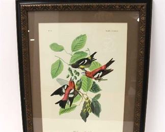 
Lot 752
Print of a White Wing Cross Bill approx. 22" w x 28" h
