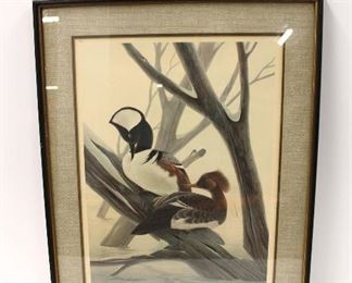 
Lot 753
Limited print of Hooded Mergansers Duck by John Ruthven approx. 22" w x 29" h
