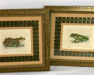 Signed Numbered Frog Art Prints