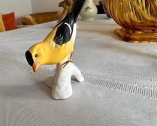 Goebel common goldfinch