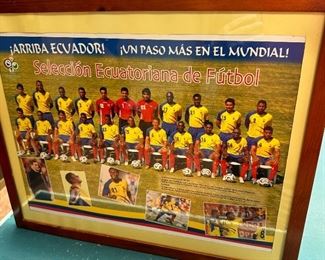 2005 Fifa World Cup Ecuador team framed poster