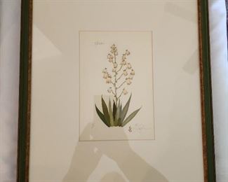 Yucca Botanical Art by Lyndi Lende