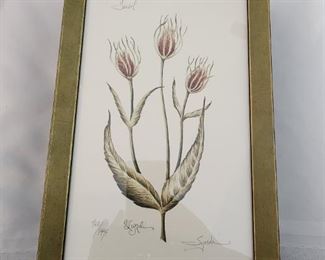 Teasel Botanical Art by Lyndi Lende