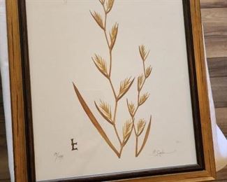 Rye Botanical Art by Lyndi Lende
