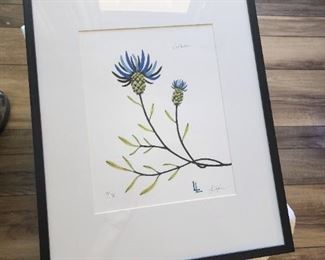 Centaurea Botanical Art by Lyndi Lende