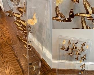Large Lucite/Acrylic Butterfly’s Shadow Box-Approximately 21”Long x 16-1/2” Wide x 3” Deep 