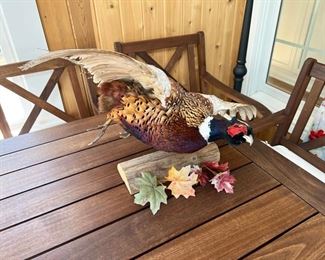 PHEASANT 