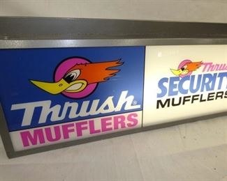 CLOSEUP W/ ROAD RUNNER