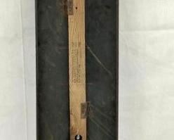 BACKVIEW PORC. EXLAX THERMOMETER