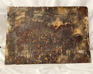 BACKVIEW PORC. INS. SIGN