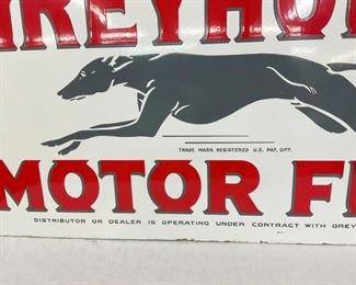 CLOSE UP OF GREYHOUND 