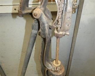 CLOSE UP VIEW 53IN. TALL