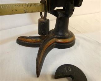 CLOSEUP TURKEY FOOT BASE