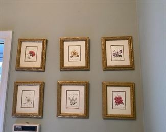 Set of framed botanicals.