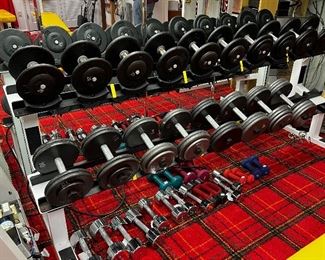 Weight rack with weights