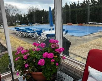 Looking out to the pool