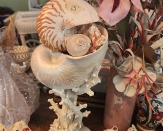 Shells