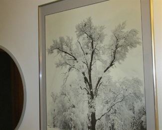 Framed Ansel Adams print