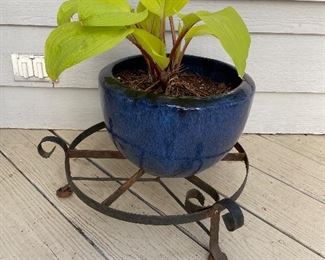 $20. Planter with Hosta