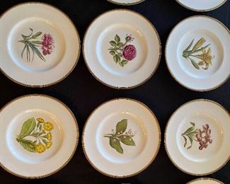 $160. Set of 12 A. H. Williamson Botanical Flower Plates - very good condition. 