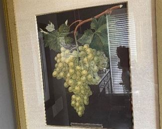 Lot #42 $140 Pair of grape prints. Each is 28" x 32" framed