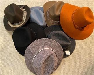 Lot#143 - $84 - 7 hats