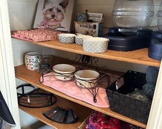 Dog clothing and supplies