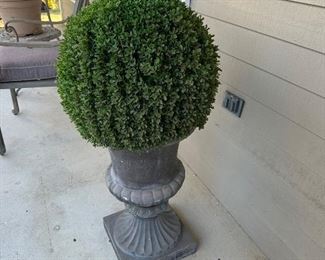 Topiary (we have 2)