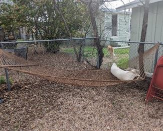 Hammock