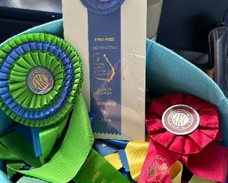 AKC competition ribbons 