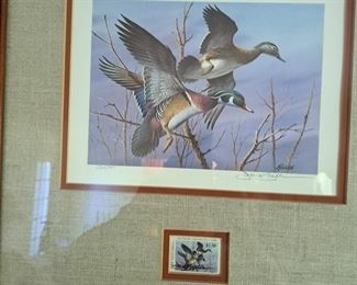 More Ducks Unlimited 