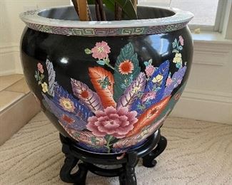 36 - $100 	Rubber tree plant 69"Hx16'W