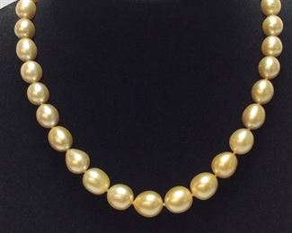 RARE GOLDEN SOUTH SEA PEARL NECKLACE 74.5g, 18''L

AIGL APPRAISAL $7,500,