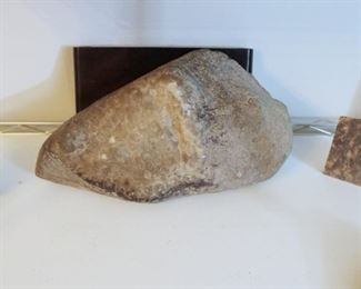 HUGE Petosky Stone weighing more than 7 pounds!