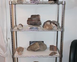 Large collection of rocks, including petrified wood and a large Petosky Stone!