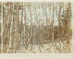 127	Deborah Geurtze Etching November Above Hyde Bay	Deborah Geurtze (American, 1952-). Colored etching, November Above Hyde Bay. Pencil signed, dated 1981 and numbered 3/15 in the lower margin. 10 5/8" x 36 3/4" (with frame 15 1/2" x 41 1/4").
