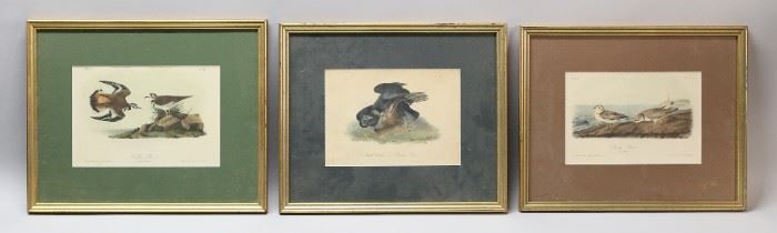 130	3 Ornithological Lithographs After Audubon	After John James Audubon (American, 1785-1851). 4 lithographs of birds. Black Vulture, 6" x 8 1/4" (with frame 11 3/4" x 14 1/4"). Piping Plover 5 3/4" x 8 1/2" (with frame 11 1/2" x 14 1/4"); Kildeer Plover, 6 1/4" x 9 1/4" (with frame 12" x 15"). Foxing and discoloration to all, chips and losses to frames on all.
e.
