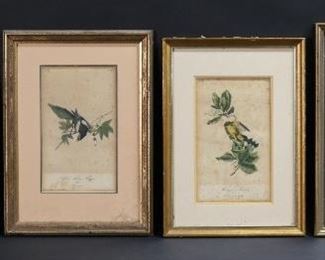 129	4 Ornithological Lithographs After Audubon	After John James Audubon (American, 1785-1851). 4 lithographs of birds. Brown Headed Nuthatch, 9 1/2" x 6 1/8" (with frame 15 1/4" x 11 7/8"); Mangrove Cuckoo, 9" x 5 1/4" (with frame 14 1/4" x 10 1/4"); White Merganser, 8 1/2" x 5 1/4" (with frame 14 1/2" x 10 1/2"); Yellow Billed Magpie, 9" x 5 3/8" (with frame 15" x 10 3/4"). Foxing and discoloration to all, chips and losses to frames on all.

