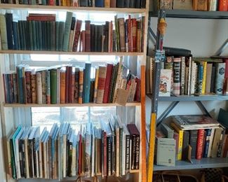 A Whole Room  Full of Books