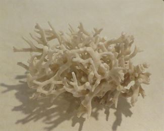 Natural coral