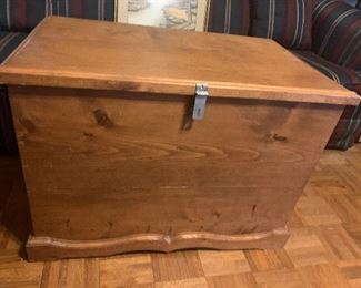 Large toy chest