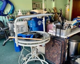 Parrot/large bird perch