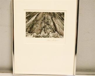 Framed Black and White Photograph