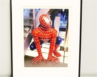 "Dropping In" Framed Colored Print by Judy Stern