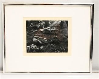 Framed Black and White Nature Photograph