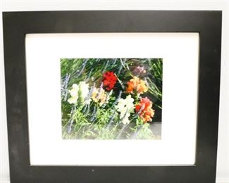 Framed Flowers Photograph