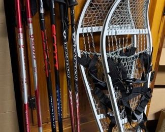 Walking poles and snow shoes