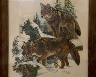 Coyote Plate XXI print signed and dated by Richard Timm